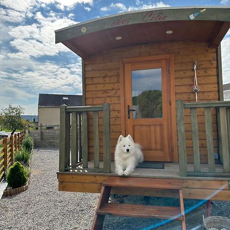 فيلا Chez Celia, Roulotte En Champagne Fleury-la-Riviere المظهر الخارجي الصورة