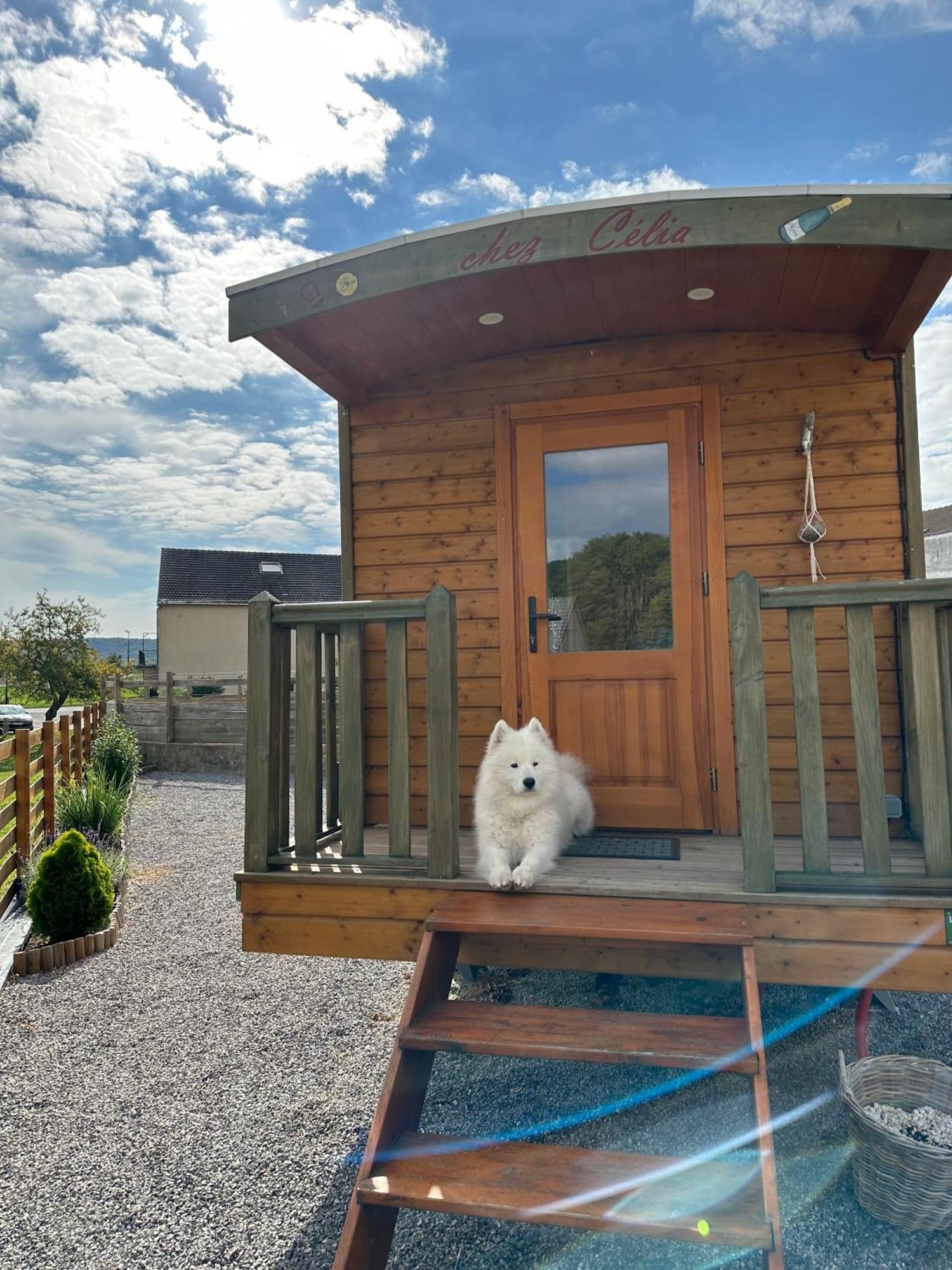 فيلا Chez Celia, Roulotte En Champagne Fleury-la-Riviere المظهر الخارجي الصورة